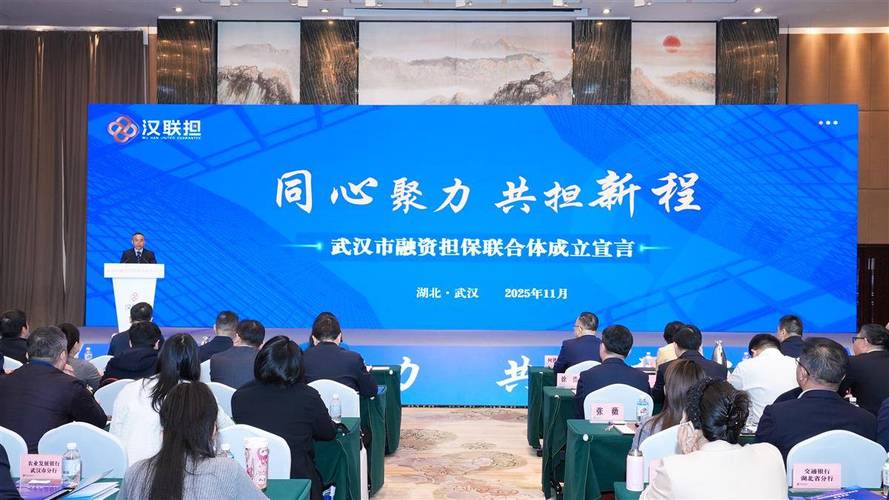 武汉市融资担保联合体正式揭牌 解码非融资担保服务的创新与影响